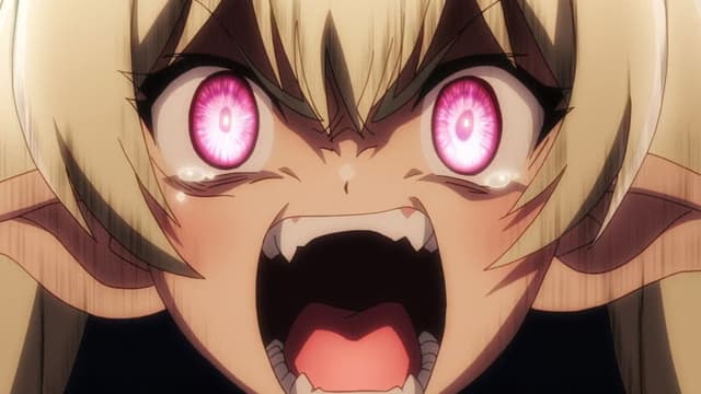 How Not to Summon a Demon Lord 11. Bölüm