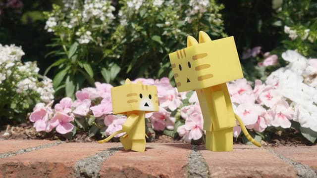 Nyanbo! 1. Bölüm
