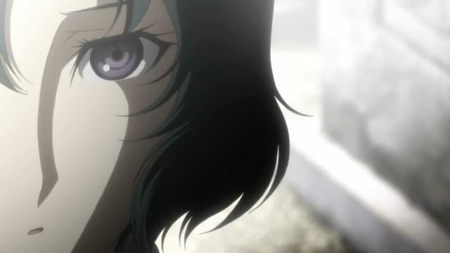 Steins;Gate 18. Bölüm