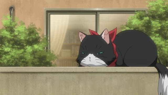 Nyan Koi! 11. Bölüm