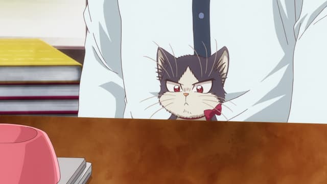 My Roommate is a Cat 11. Bölüm