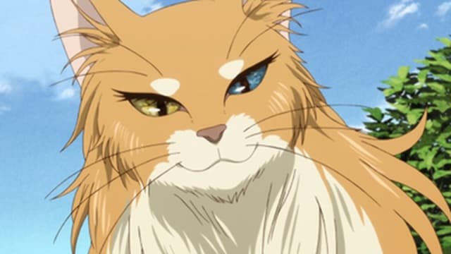 The Ancient Magus' Bride 4. Bölüm