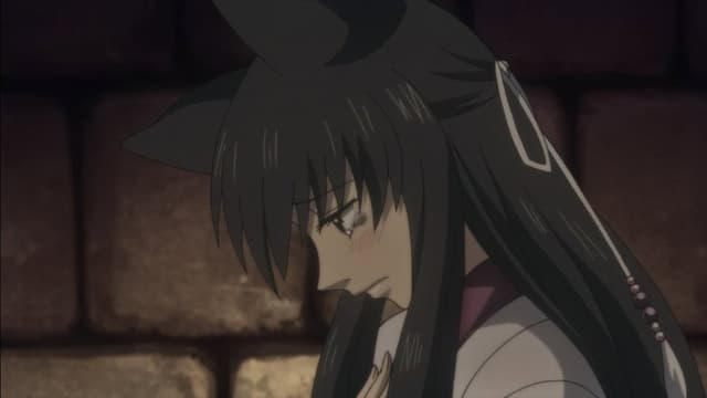 Zakuro 11. Bölüm