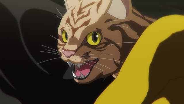 Nyaight of the Living Cat 1. Bölüm